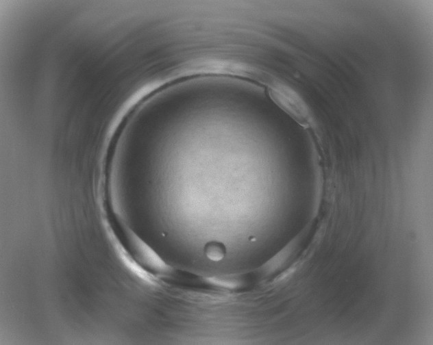 X0000083041136200702021145