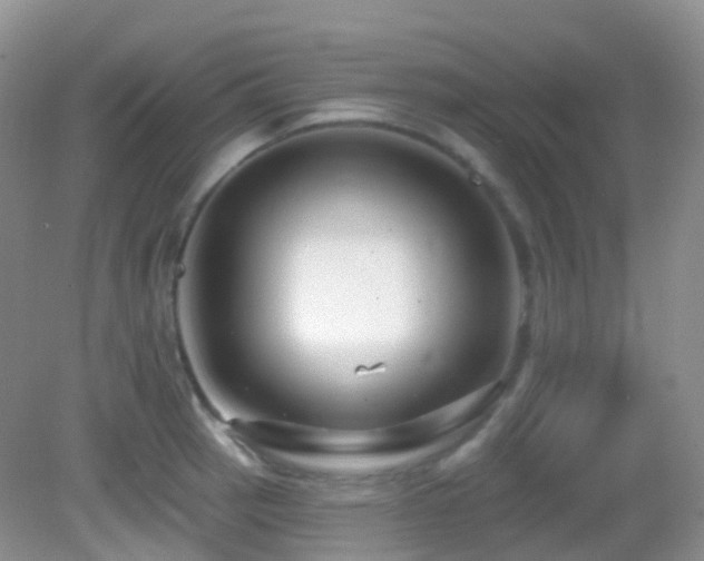 X0000083041137200702021145