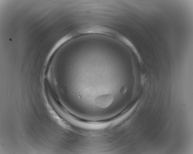 X0000083041138200702021145