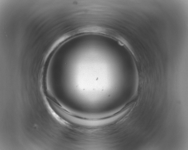 X0000083041139200702021145