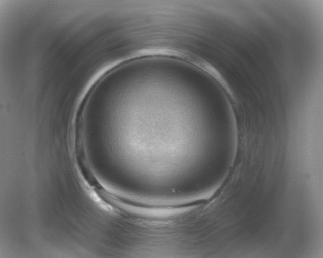 X0000083041140200702021145