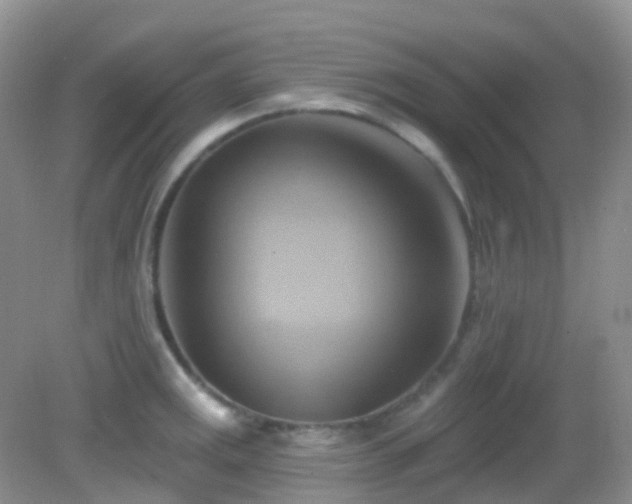 X0000083041141200702021145