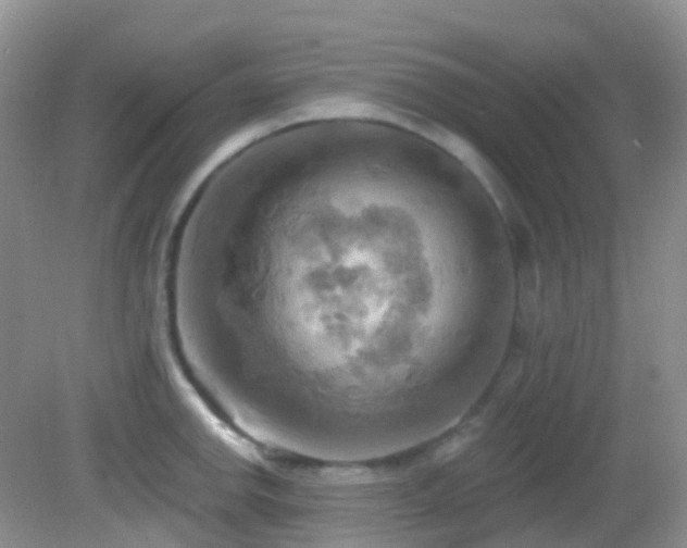 X0000083041142200702021145