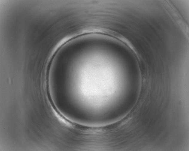 X0000083041143200702021145