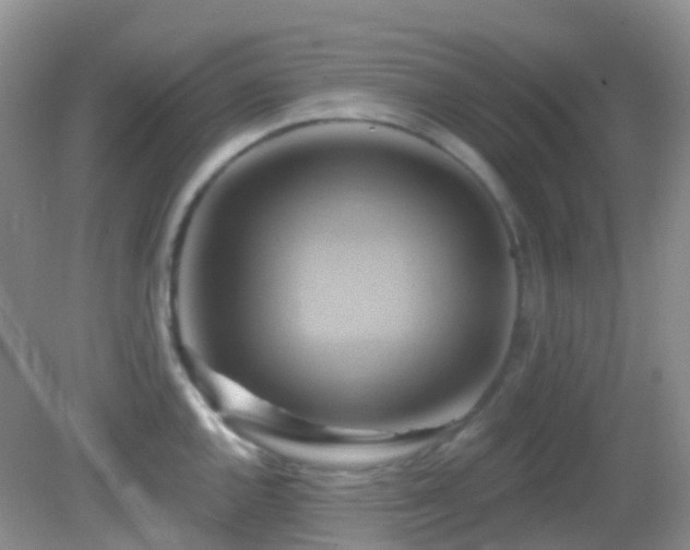 X0000083041144200702021145