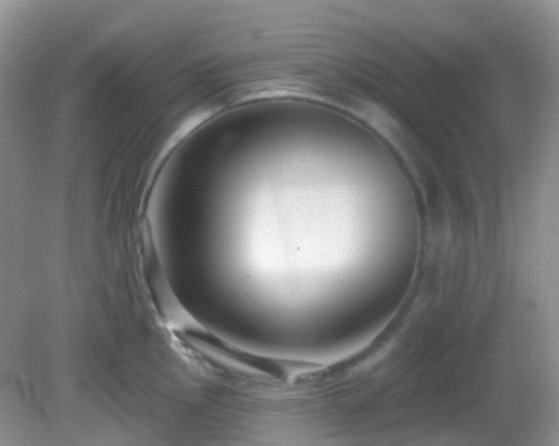 X0000083041145200702021145