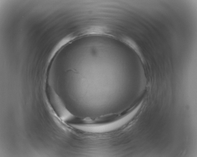 X0000083041146200702021145