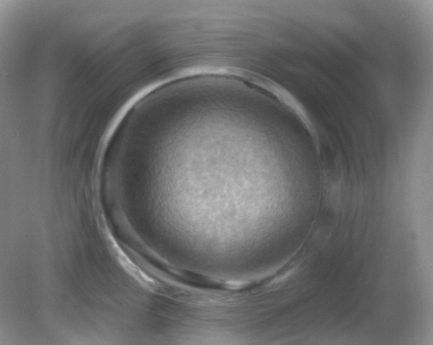 X0000083041148200702021145