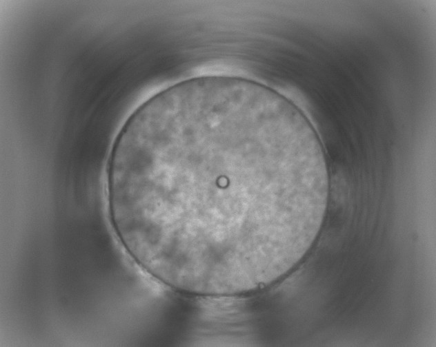 X0000083041150200702021145