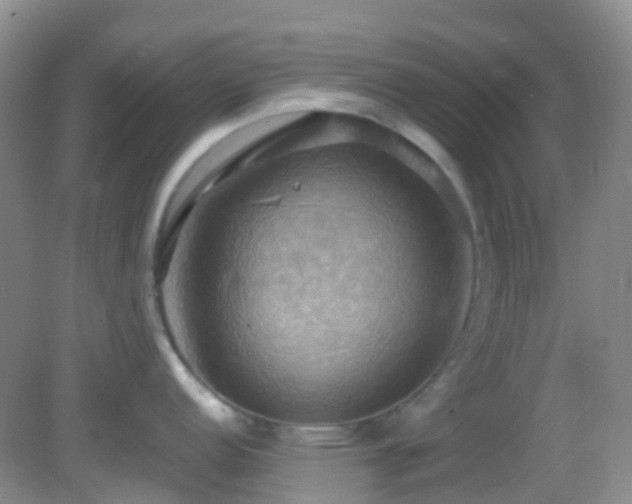 X0000083041152200702021145