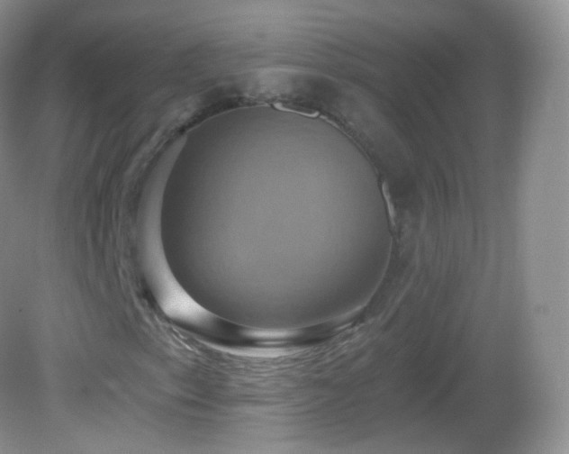 X0000083041153200702021144