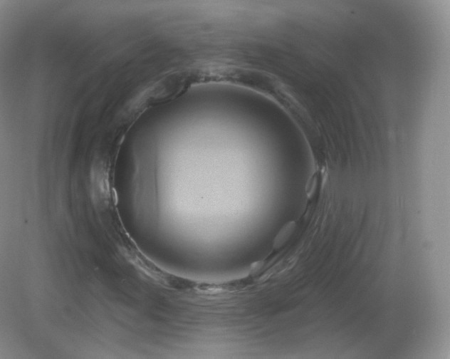 X0000083041155200702021144