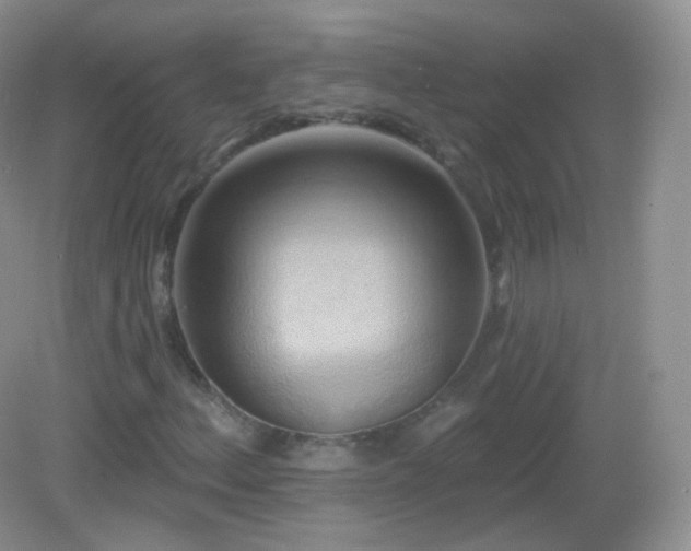 X0000083041156200702021144