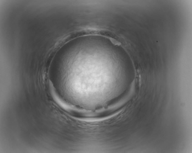 X0000083041157200702021144