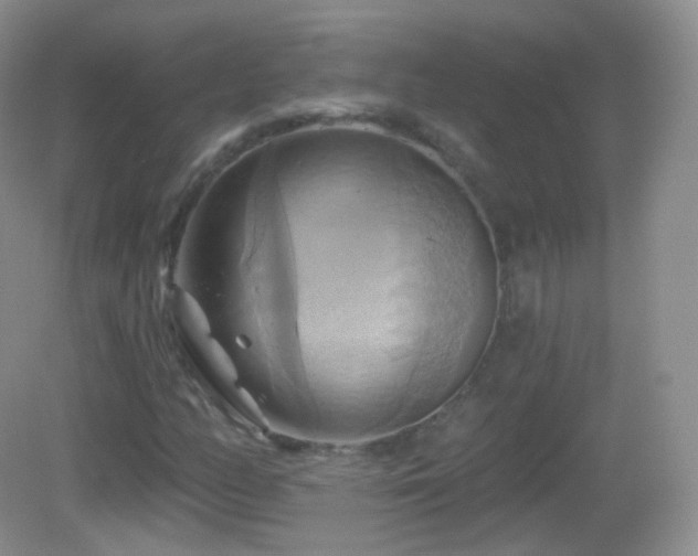 X0000083041158200702021144