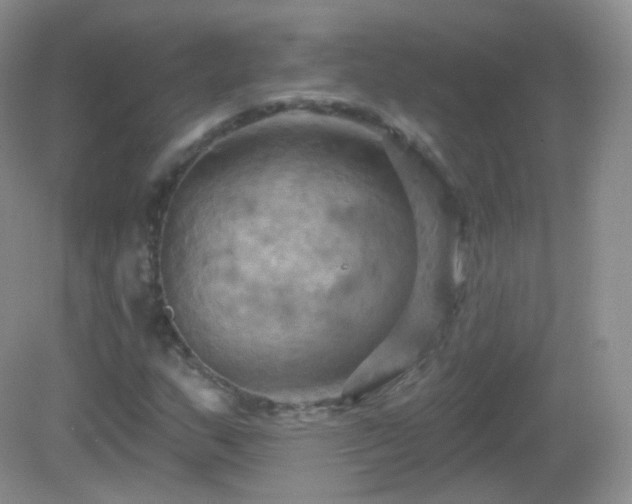 X0000083041159200702021144