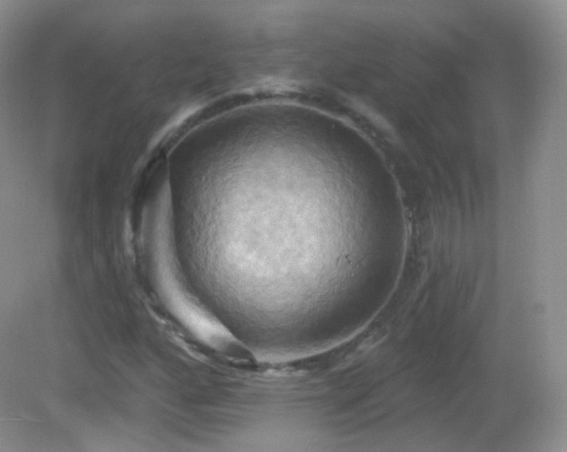 X0000083041160200702021144