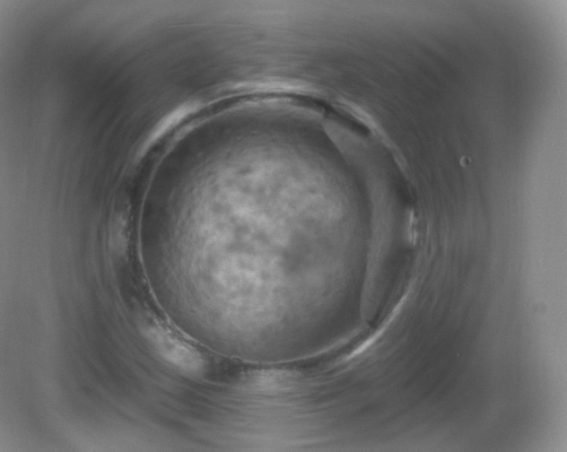 X0000083041163200702021144