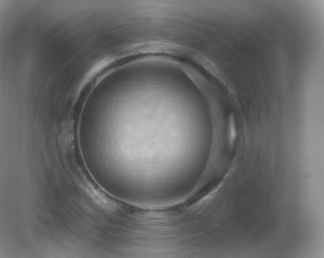 X0000083041164200702021144