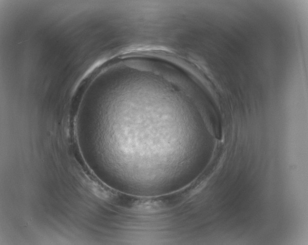 X0000083041165200702021144