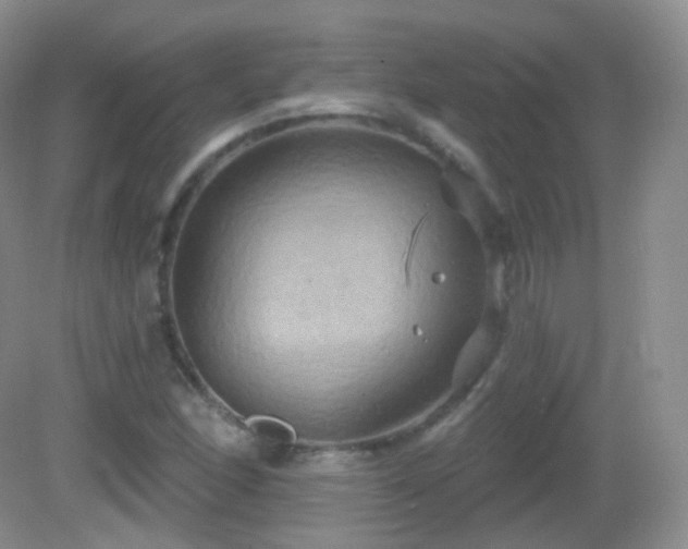 X0000083041166200702021144