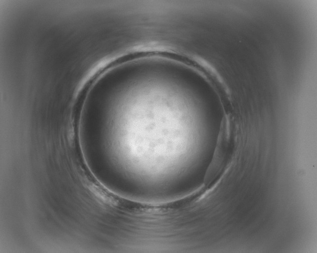 X0000083041167200702021144