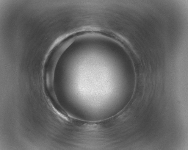 X0000083041168200702021144