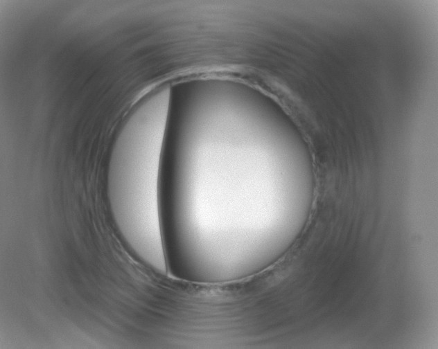 X0000083041169200702021144