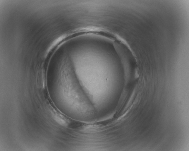 X0000083041171200702021144