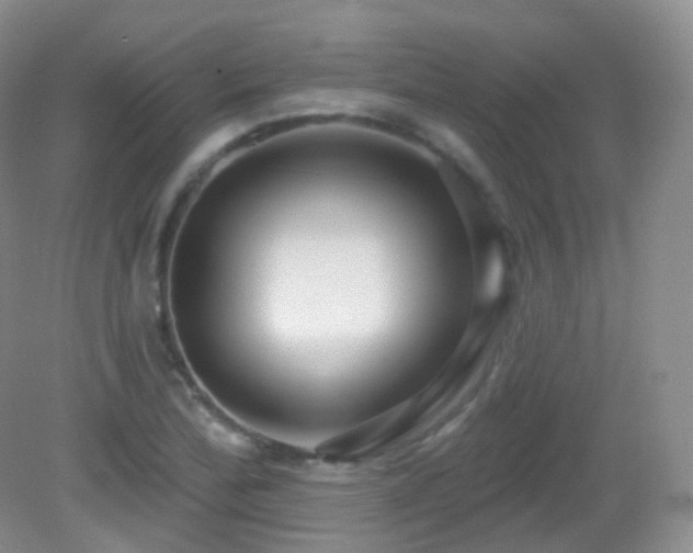 X0000083041172200702021144