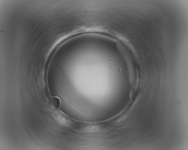 X0000083041174200702021144