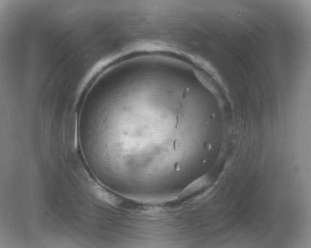 X0000083041175200702021144