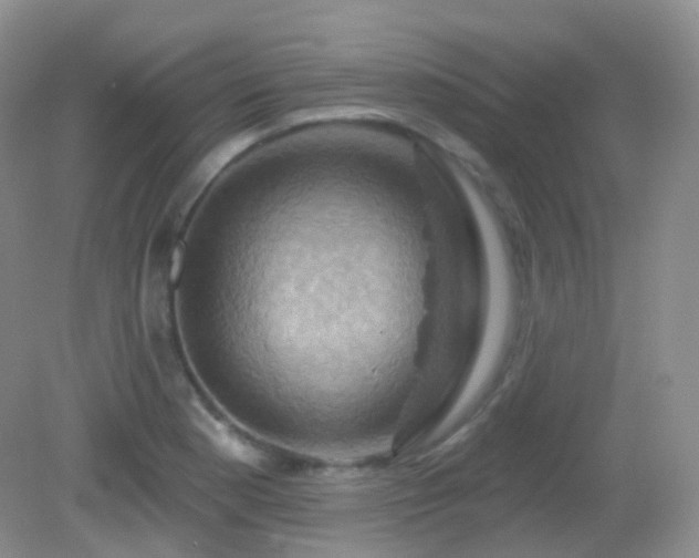 X0000083041177200702021144