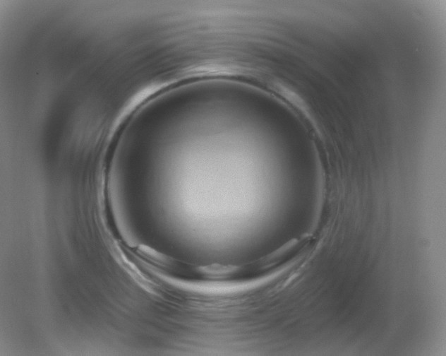 X0000083041179200702021144