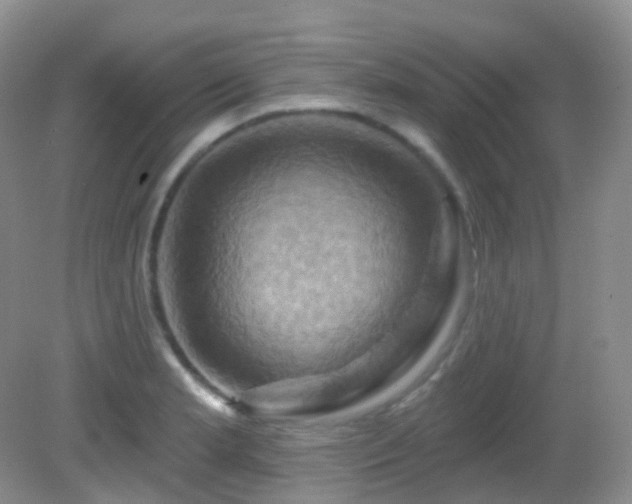 X0000083041181200702021144