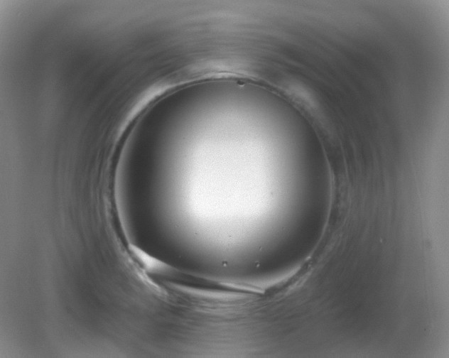 X0000083041182200702021144