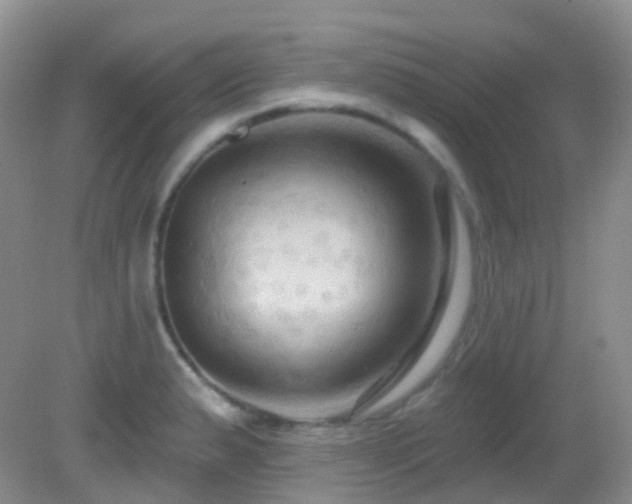 X0000083041183200702021144