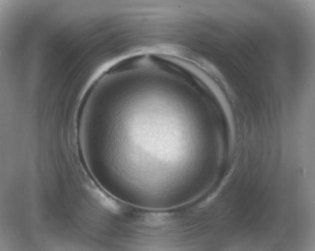 X0000083041184200702021144