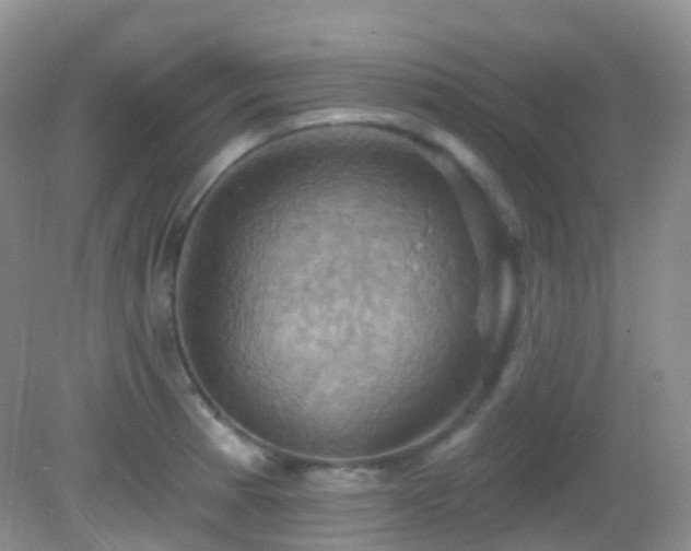 X0000083041185200702021144