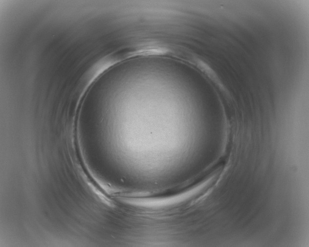 X0000083041186200702021144