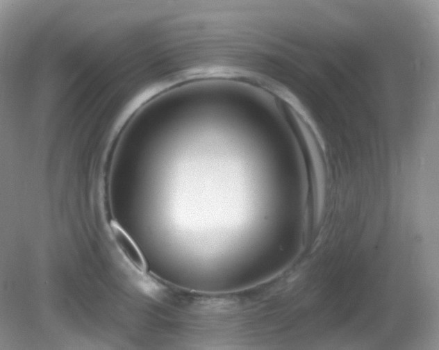 X0000083041187200702021144