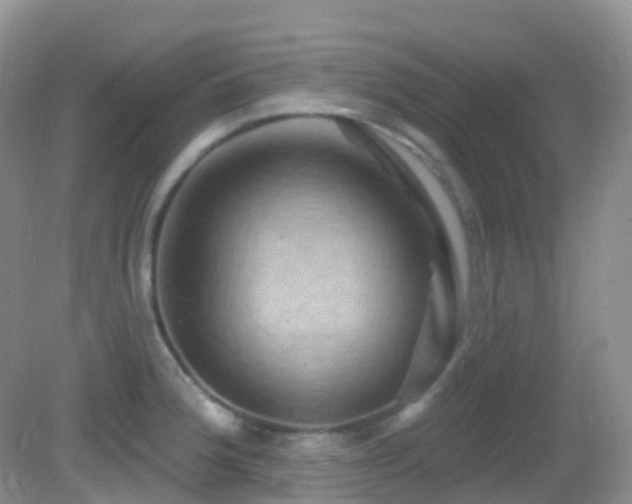 X0000083041188200702021144