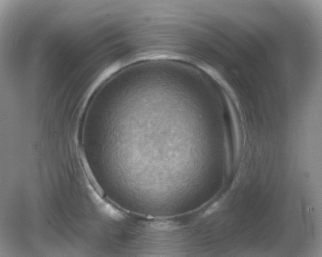 X0000083041189200702021144