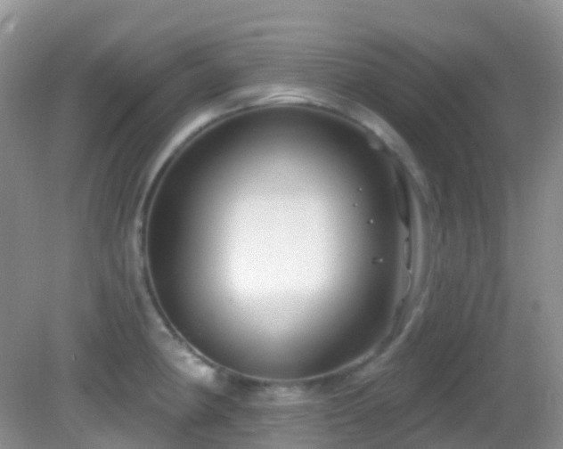 X0000083041190200702021144