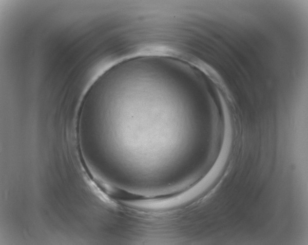 X0000083041192200702021144