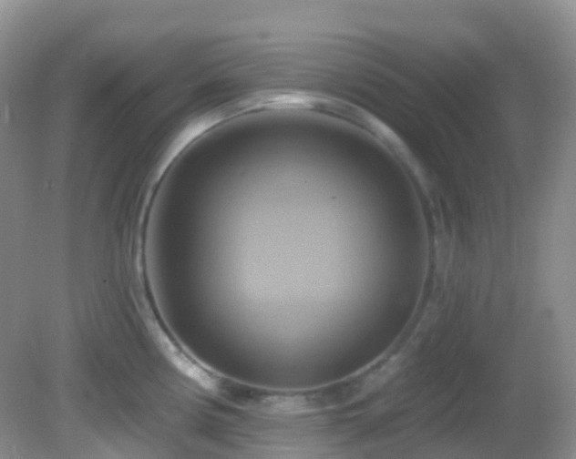 X0000083041194200702021144