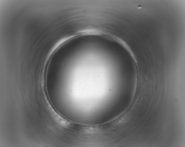 X0000083041195200702021144