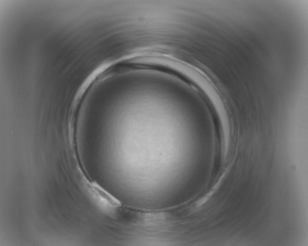 X0000083041196200702021144