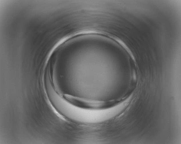 X0000083041197200702021144