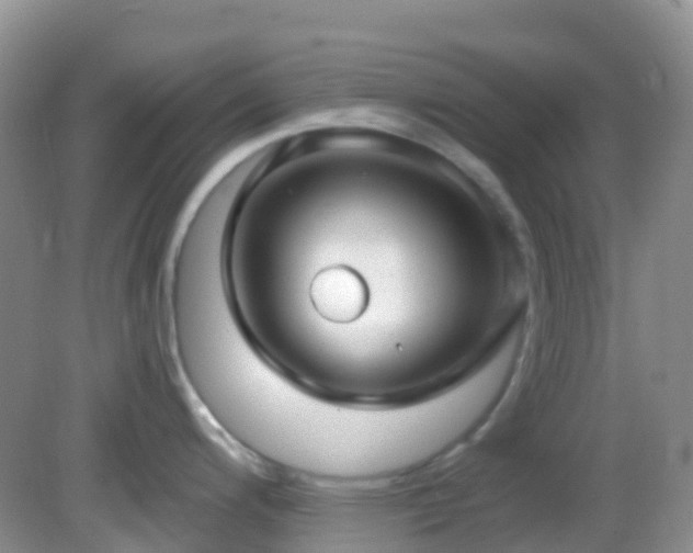 X0000083041200200702021144